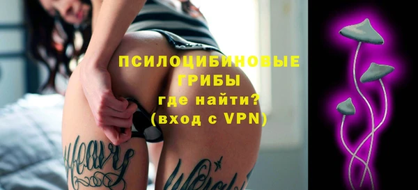 эйфоретик Балахна
