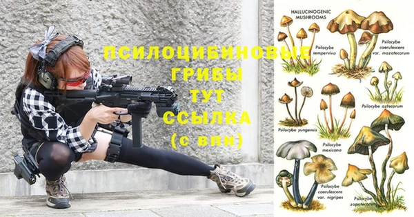 гашиш Баксан