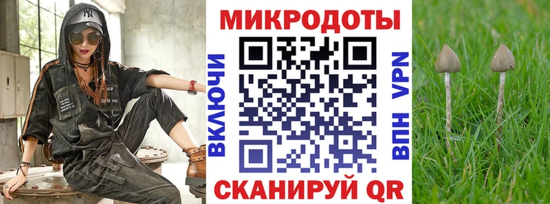 купить закладку  Калининец  mega вход  Псилоцибиновые грибы Psilocybe 