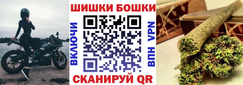 МАРИХУАНА планчик  наркота  Калининец 